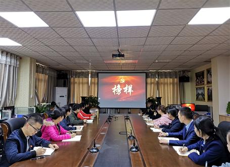 向榜樣看齊，做合格黨員