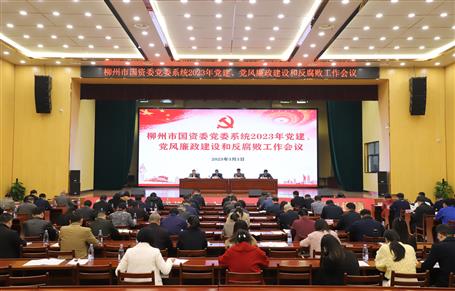 柳州市國(guó)資委黨委系列會(huì)議在冶建公司禮堂召開