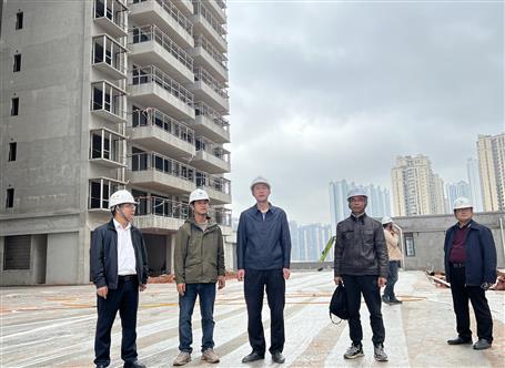 何勇帶隊到項目開展一季度暨復(fù)工復(fù)產(chǎn)綜合大檢查