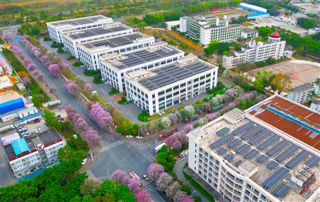 【實(shí)干筑夢·競賽爭鋒】冶建基礎(chǔ)分公司一光伏發(fā)電項目順利通過竣工驗收